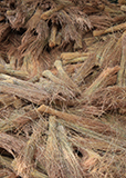 Thatching Grass and Cape Reed