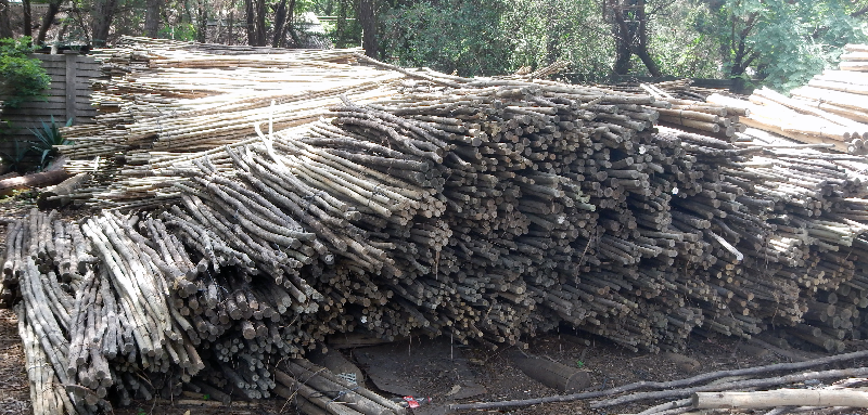 Laths