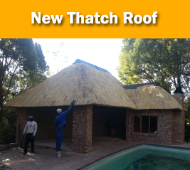 New build thatch roof