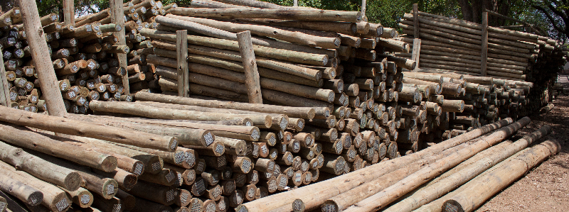 Treated construction Poles
