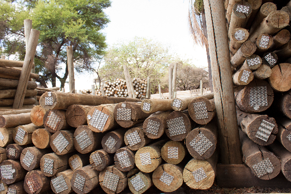 Treated Poles