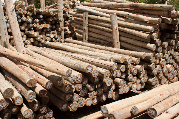 Treated Poles