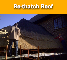 Re-thatch thatch roof