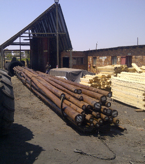 CCA treated wood